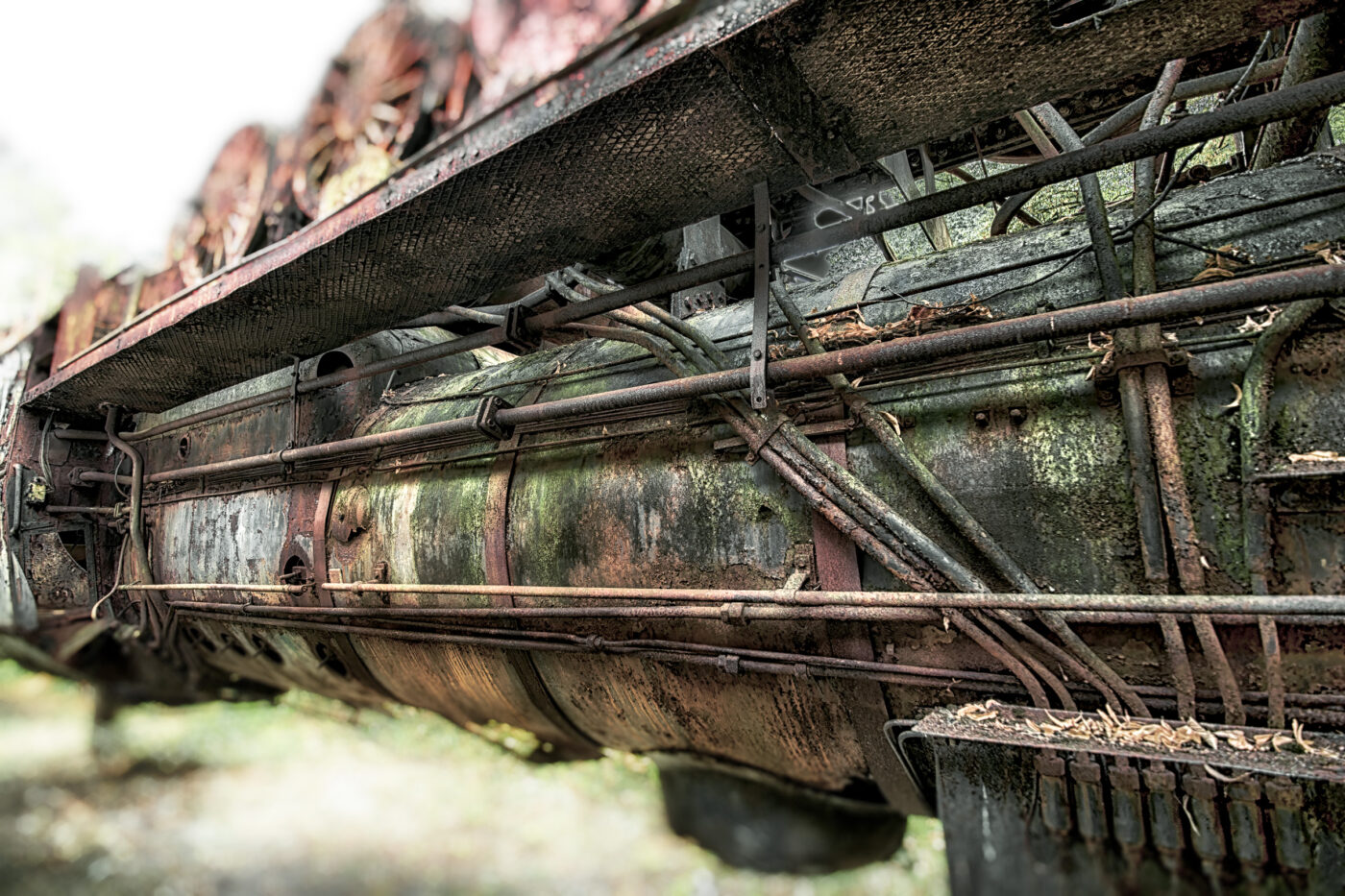 2025-08-20 - Marl - See am Marler Stern