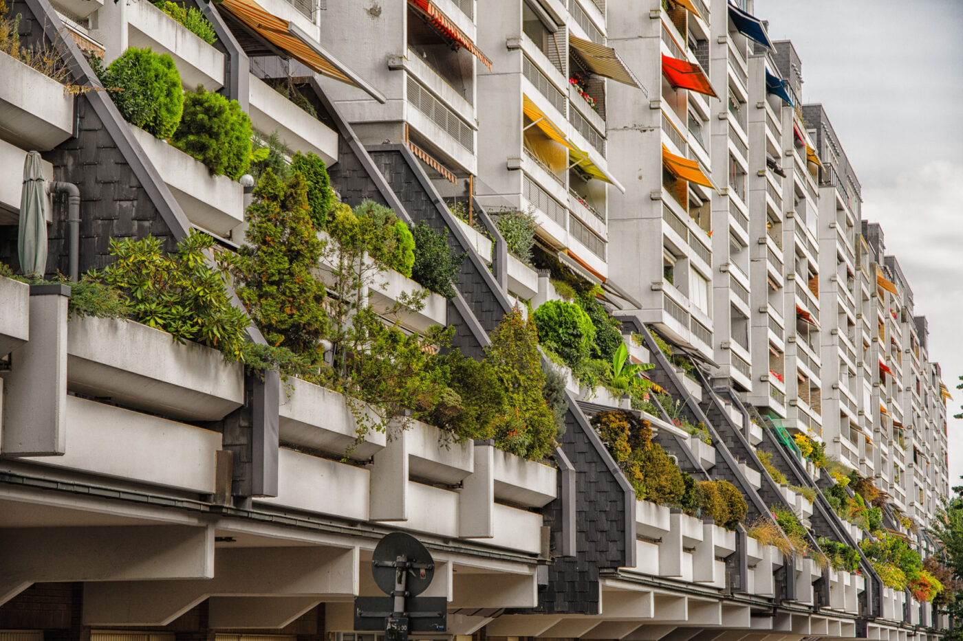 2025-08-20 - Marl - See am Marler Stern