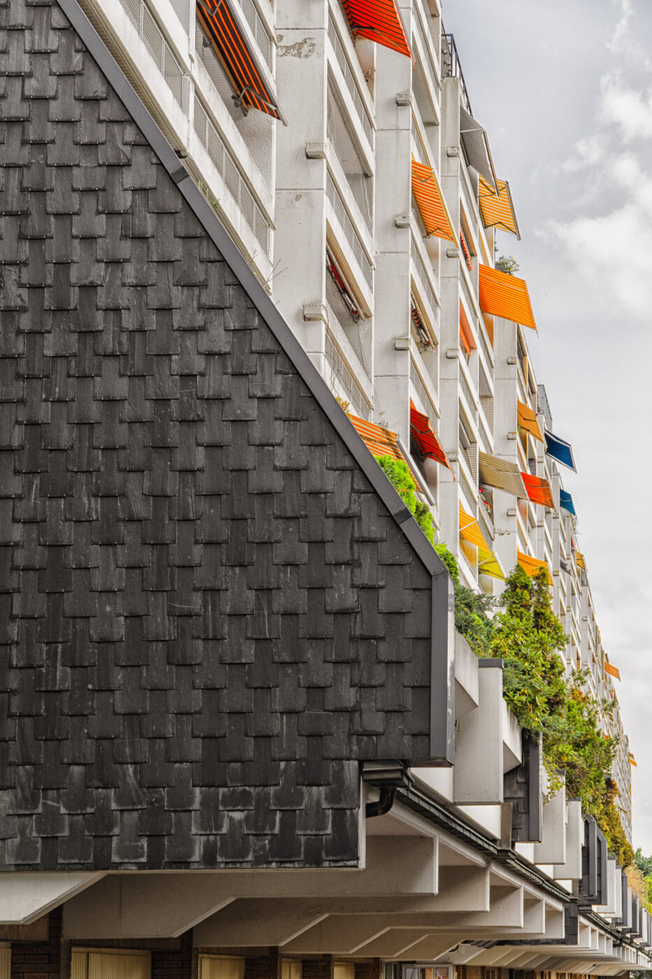 2025-08-20 - Marl - See am Marler Stern