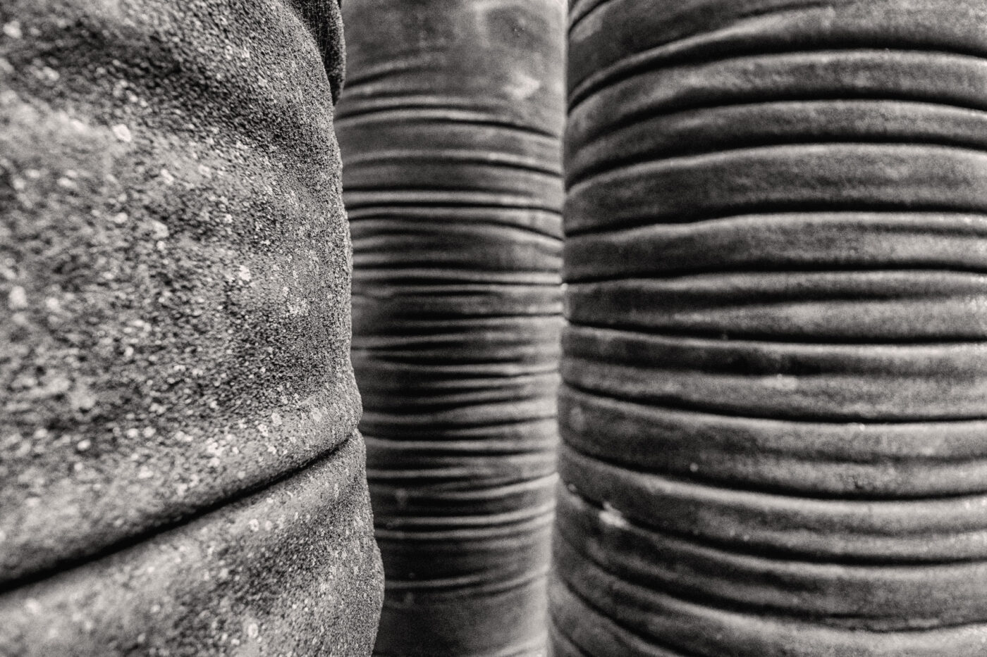 2025-08-20 - Marl - See am Marler Stern