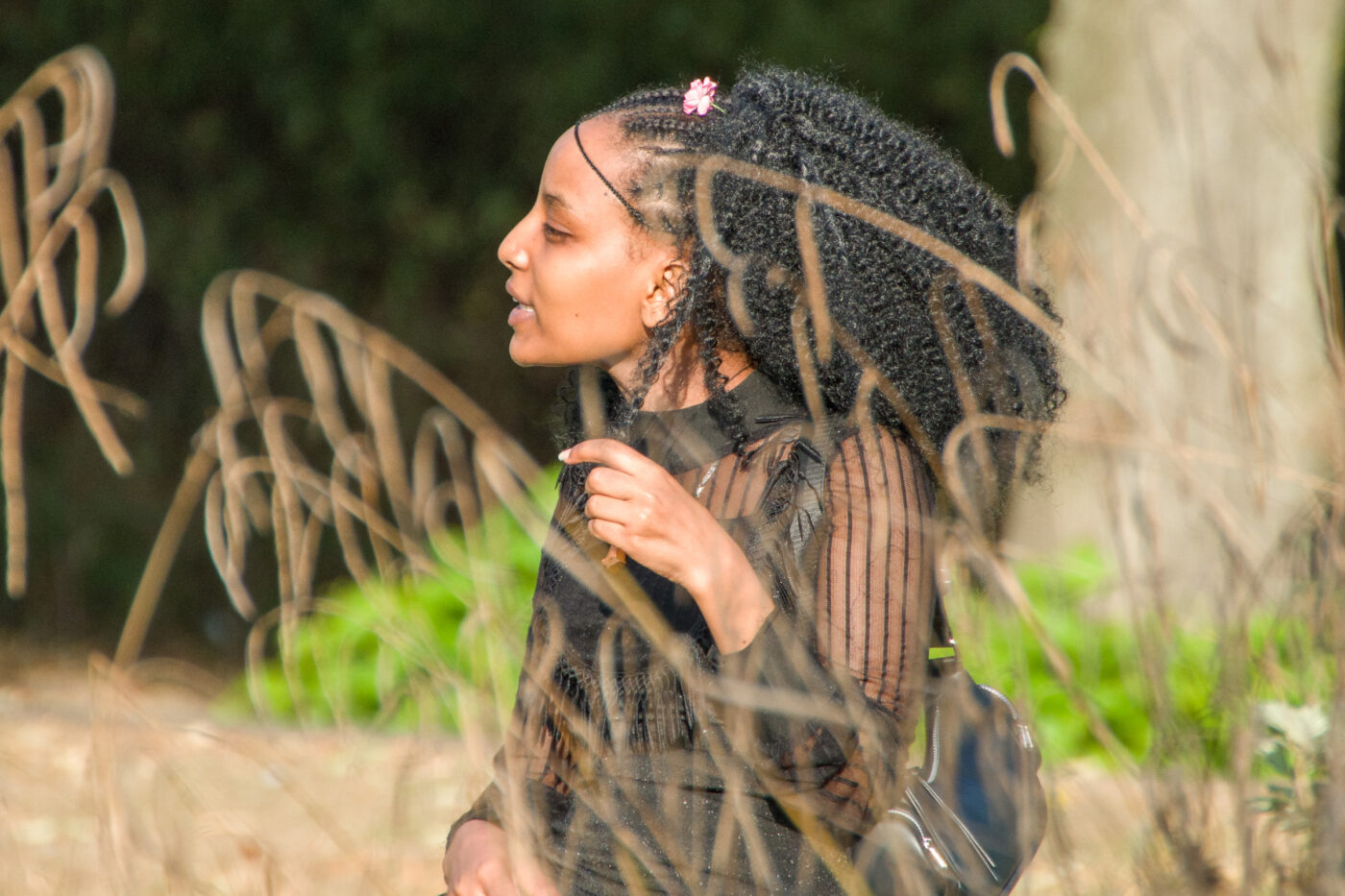 2025-08-20 - Marl - See am Marler Stern