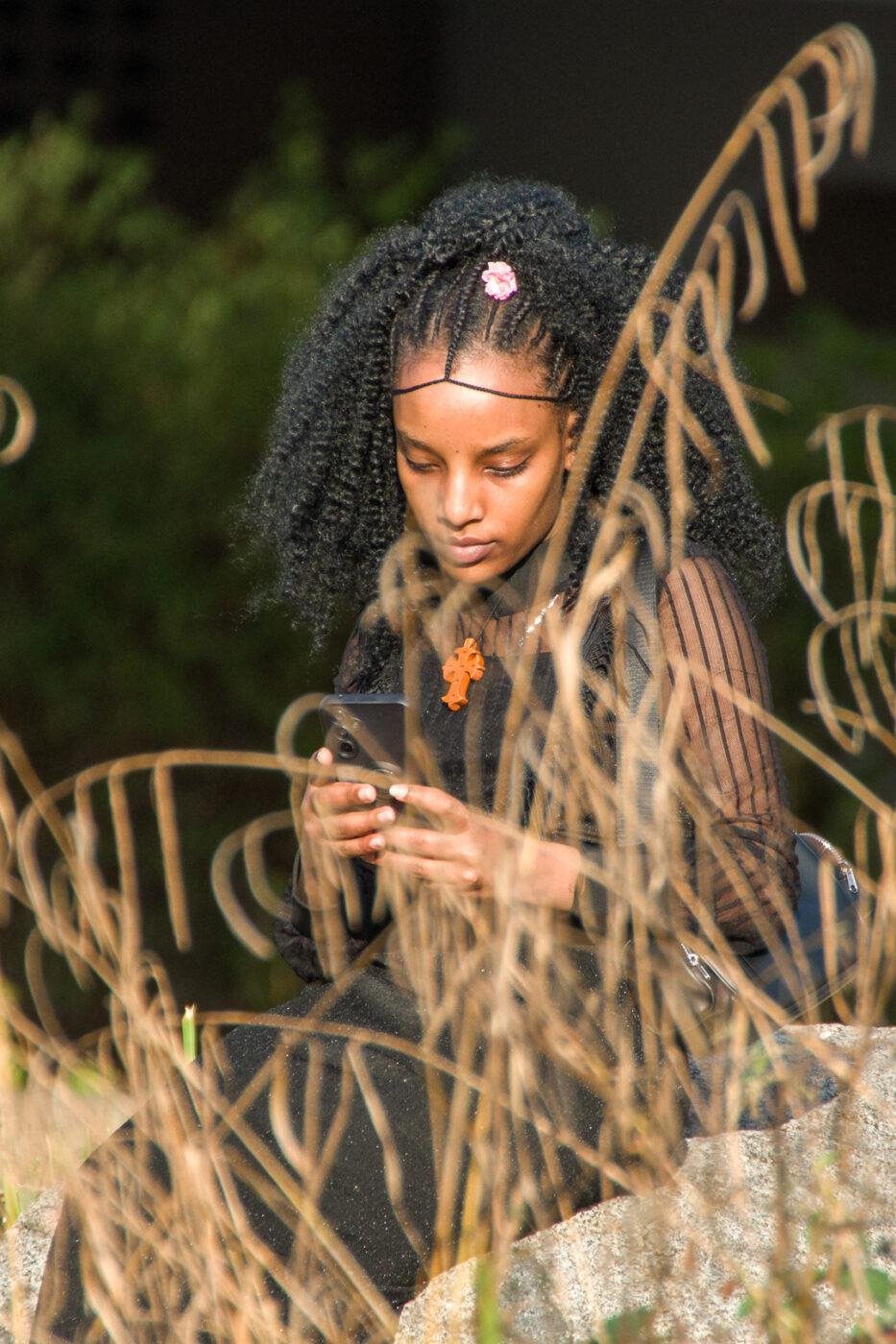 2025-08-20 - Marl - See am Marler Stern