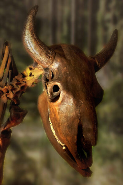 2025-08-26 - Gladbeck - Haus Wittringen