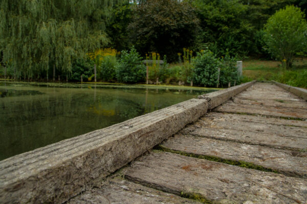 2025-08-26 - Gladbeck - Haus Wittringen