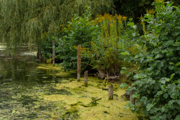 2025-08-26 - Gladbeck - Haus Wittringen