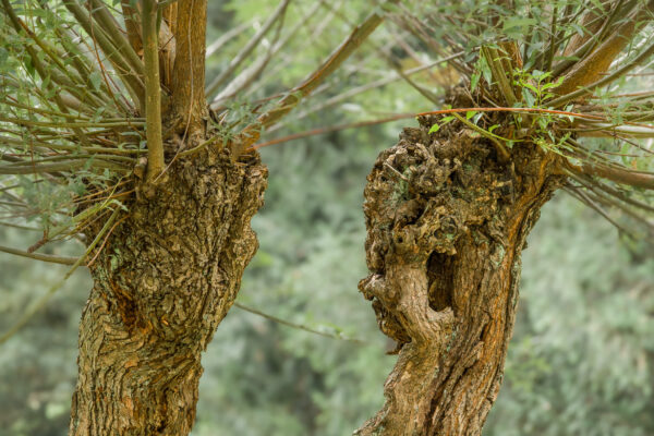 2025-08-26 - Gladbeck - Haus Wittringen
