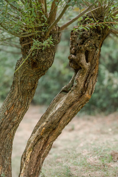 2025-08-26 - Gladbeck - Haus Wittringen
