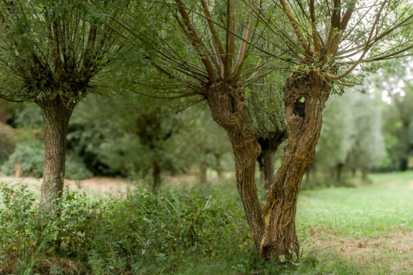 2025-08-26 - Gladbeck - Haus Wittringen