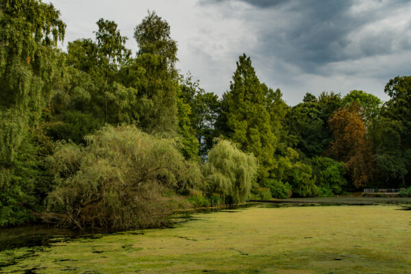 2025-08-26 - Gladbeck - Haus Wittringen