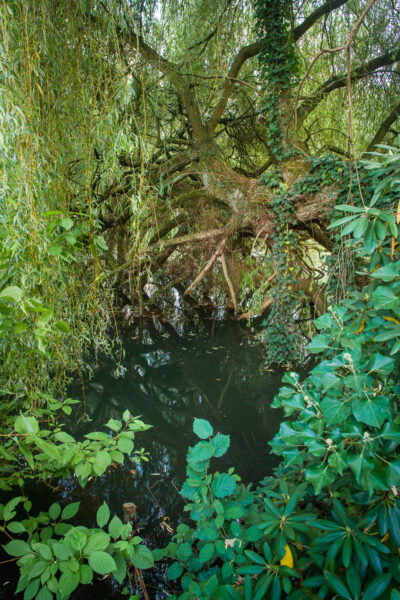 2025-08-26 - Gladbeck - Haus Wittringen