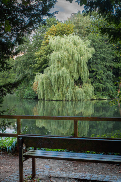 2025-08-26 - Gladbeck - Haus Wittringen