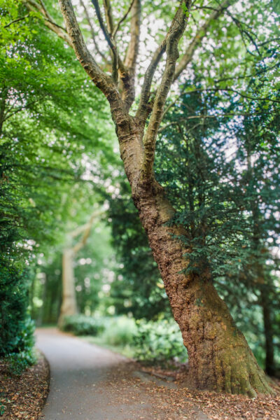 2025-08-26 - Gladbeck - Haus Wittringen