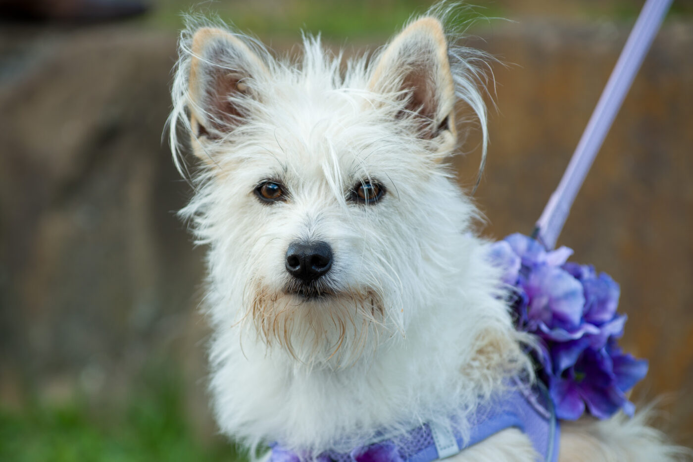 2025-09-14 - Schiffshebewerk Henrichenburg