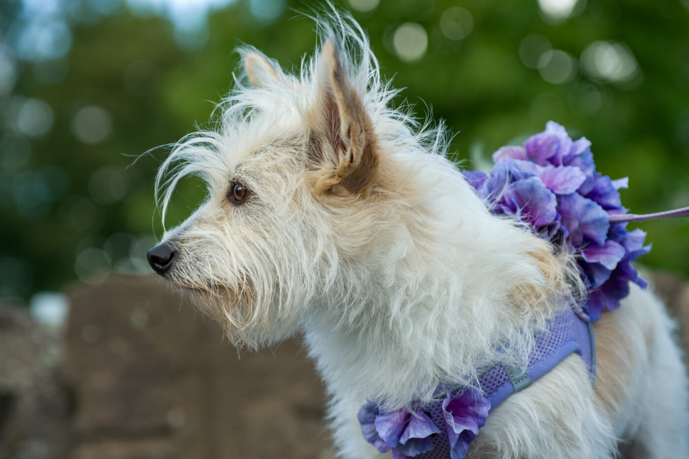 2025-09-14 - Schiffshebewerk Henrichenburg