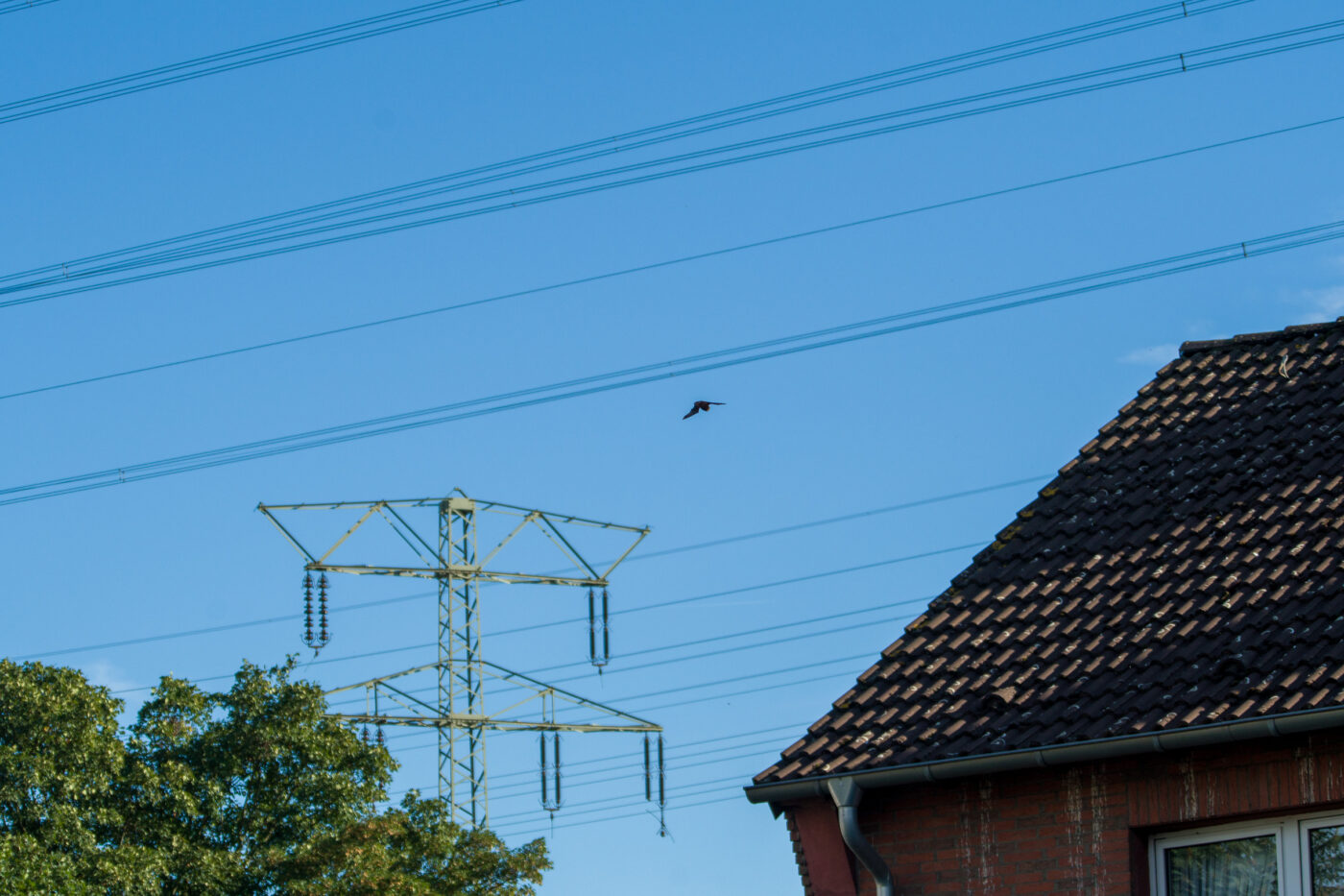 2025-09-19 - RE-Sidenzia auf'm BallKong