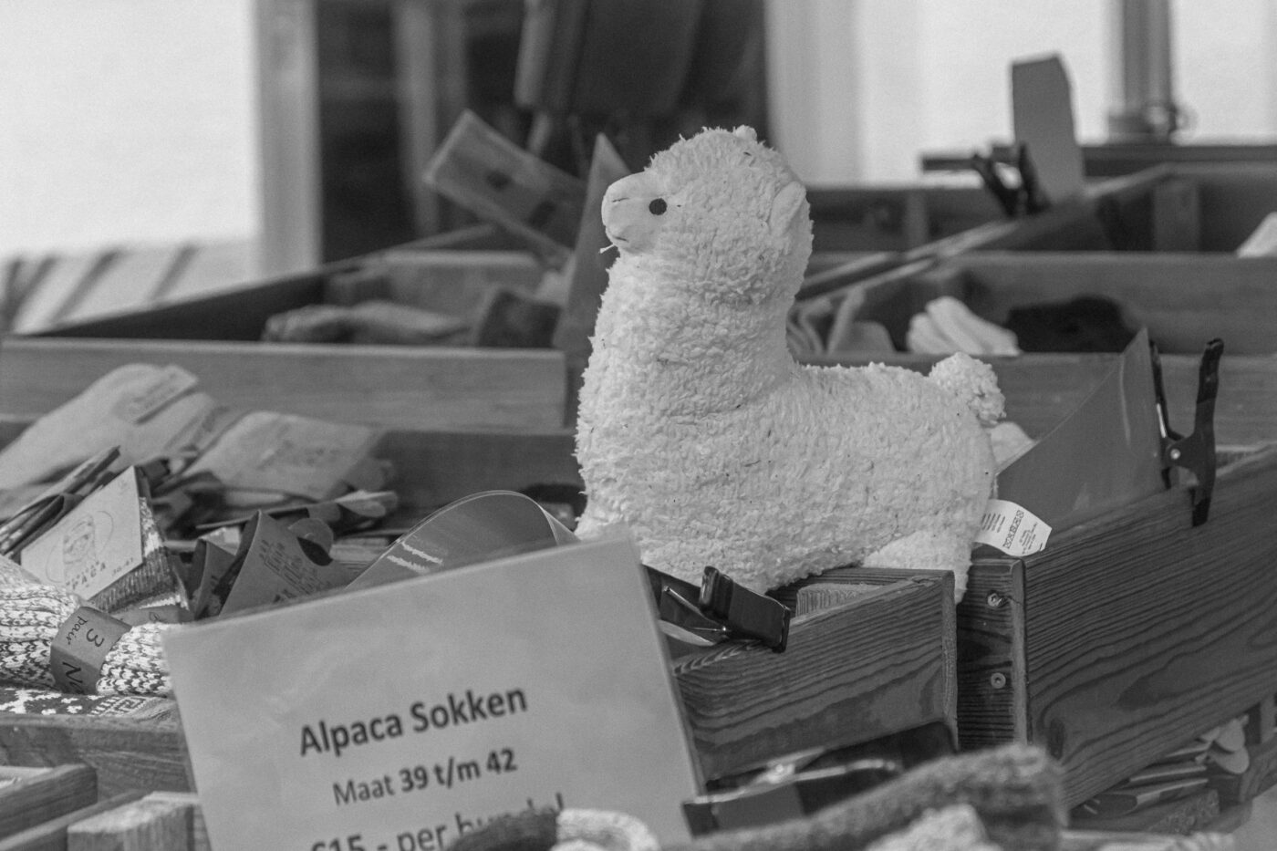 2025-10-12 - Datteln - verkaufsoffener Sonntagsirrsinn