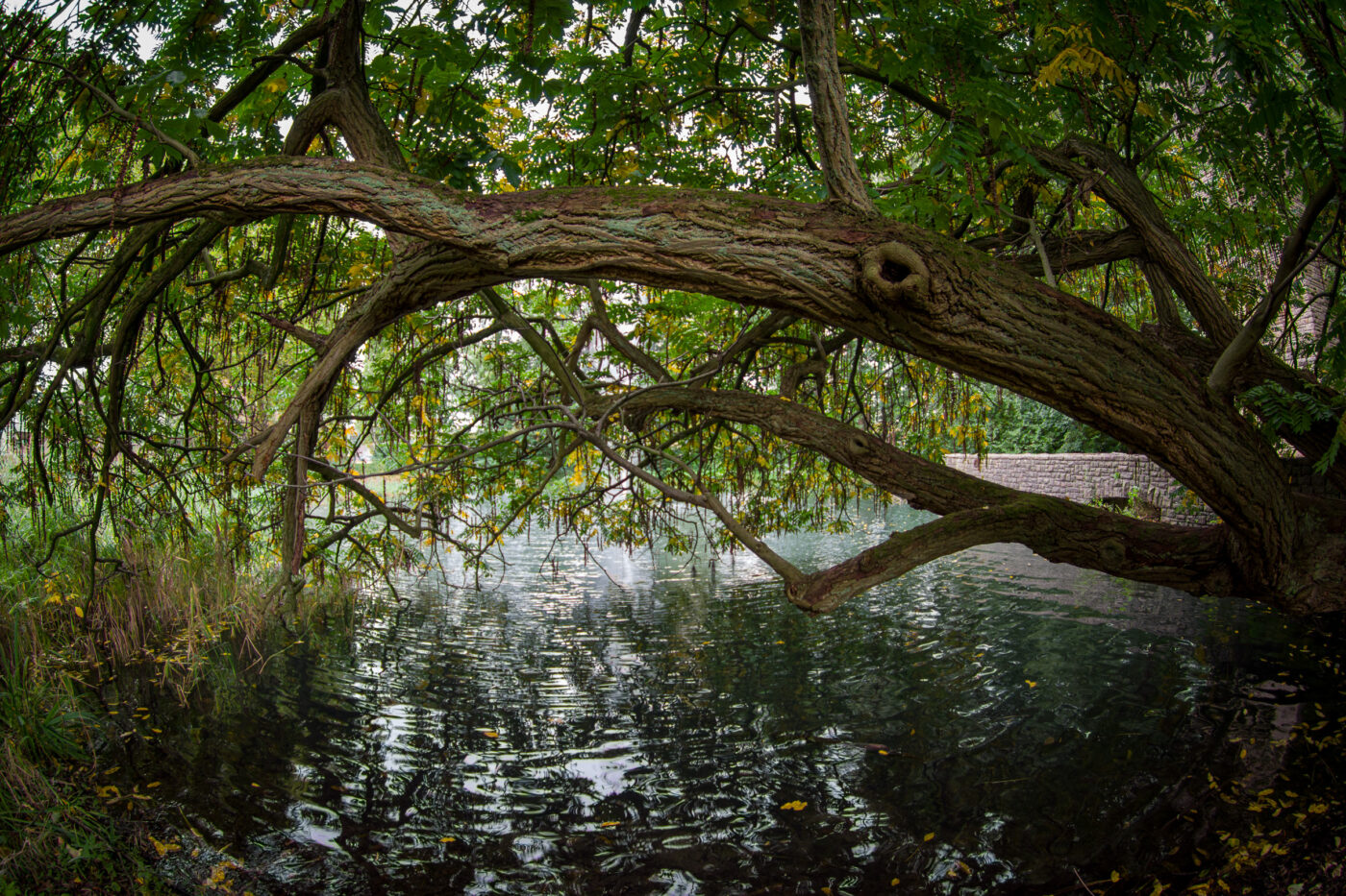 2025-10-12 - Datteln - verkaufsoffener Sonntagsirrsinn