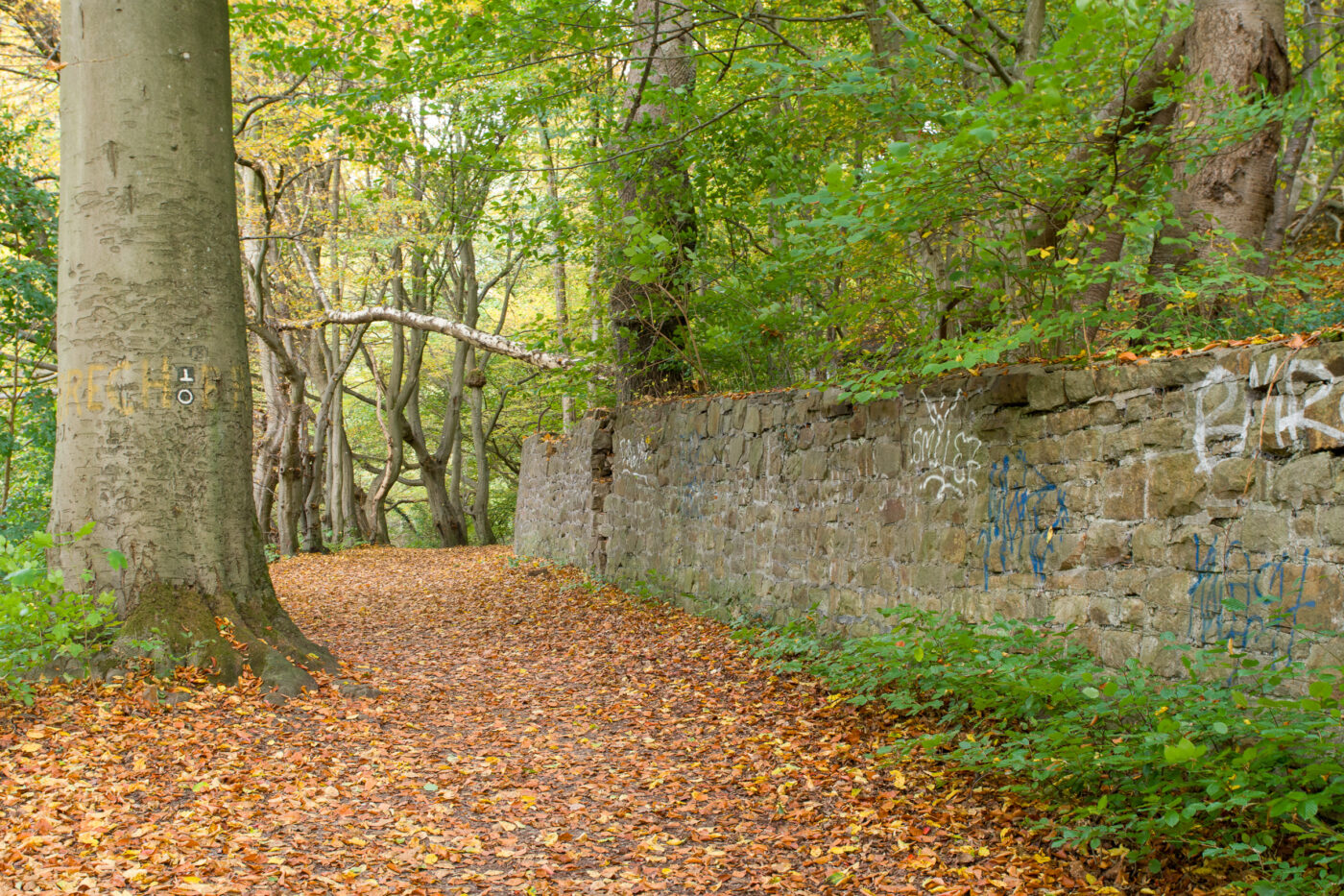 2025-10-19 - RUB - Botanischer Garten