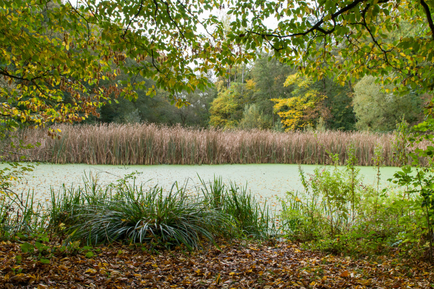 2025-10-19 - RUB - Botanischer Garten