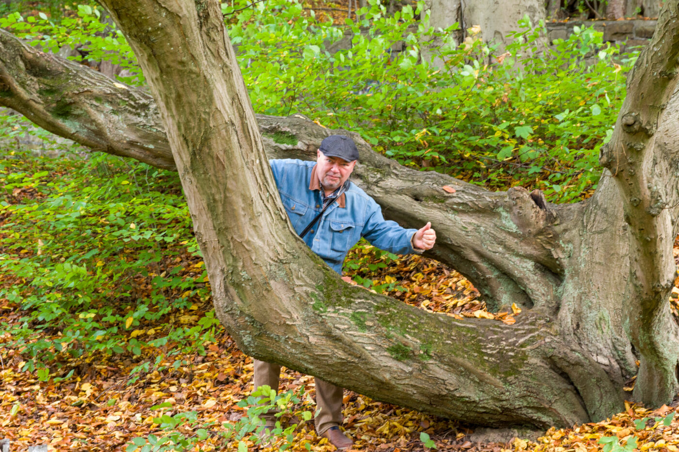 2025-10-19 - RUB - Botanischer Garten