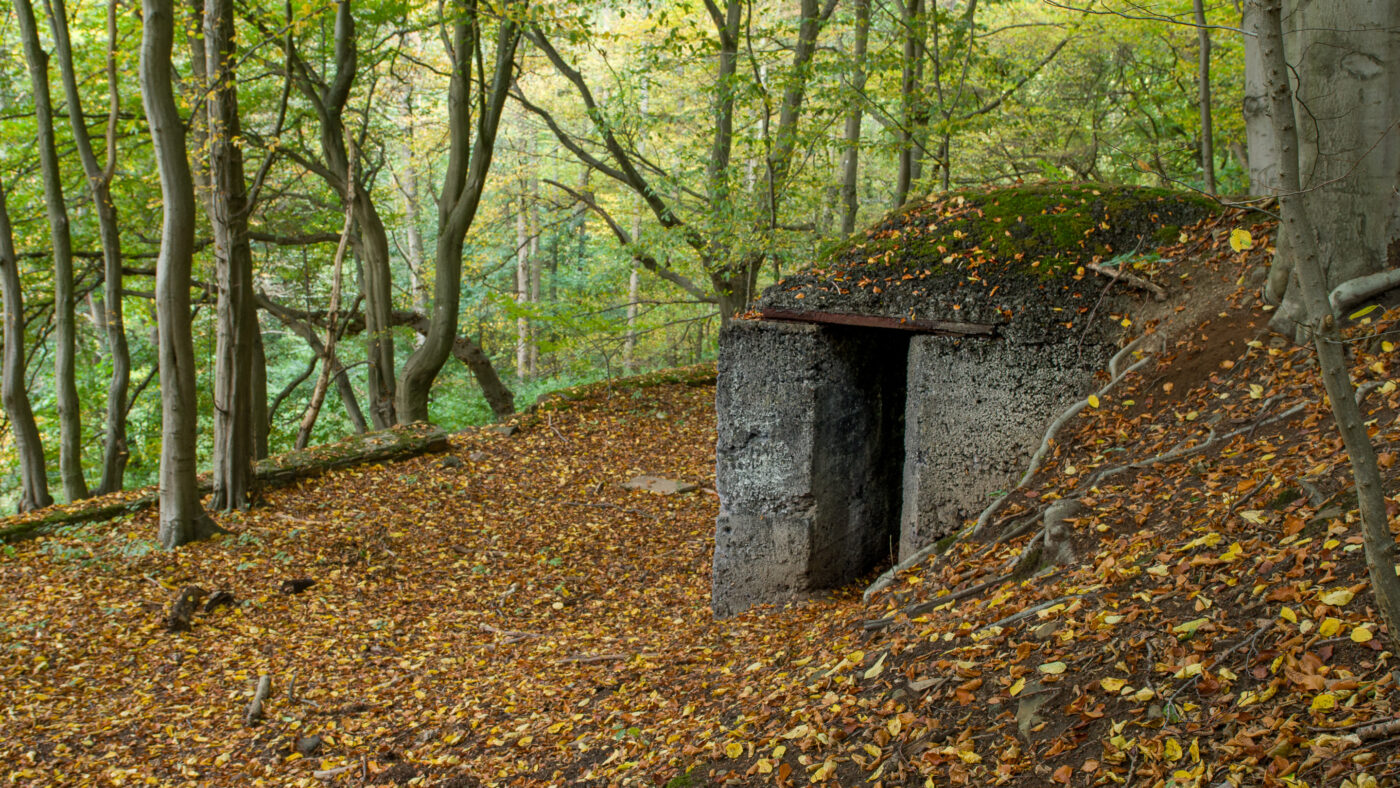 2025-10-19 - RUB - Botanischer Garten