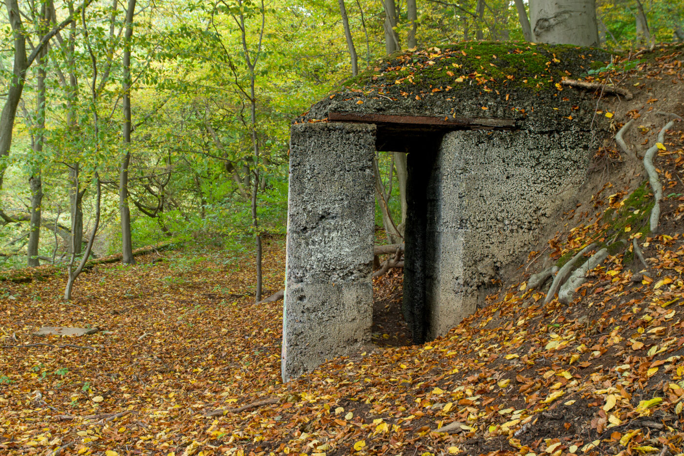 2025-10-19 - RUB - Botanischer Garten