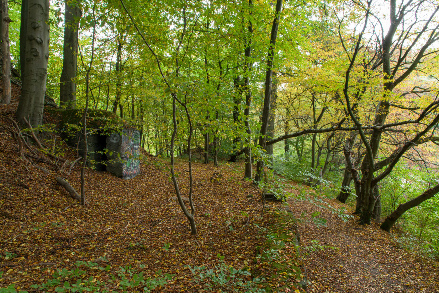 2025-10-19 - RUB - Botanischer Garten