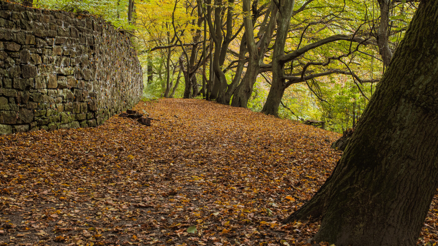 2025-10-19 - RUB - Botanischer Garten