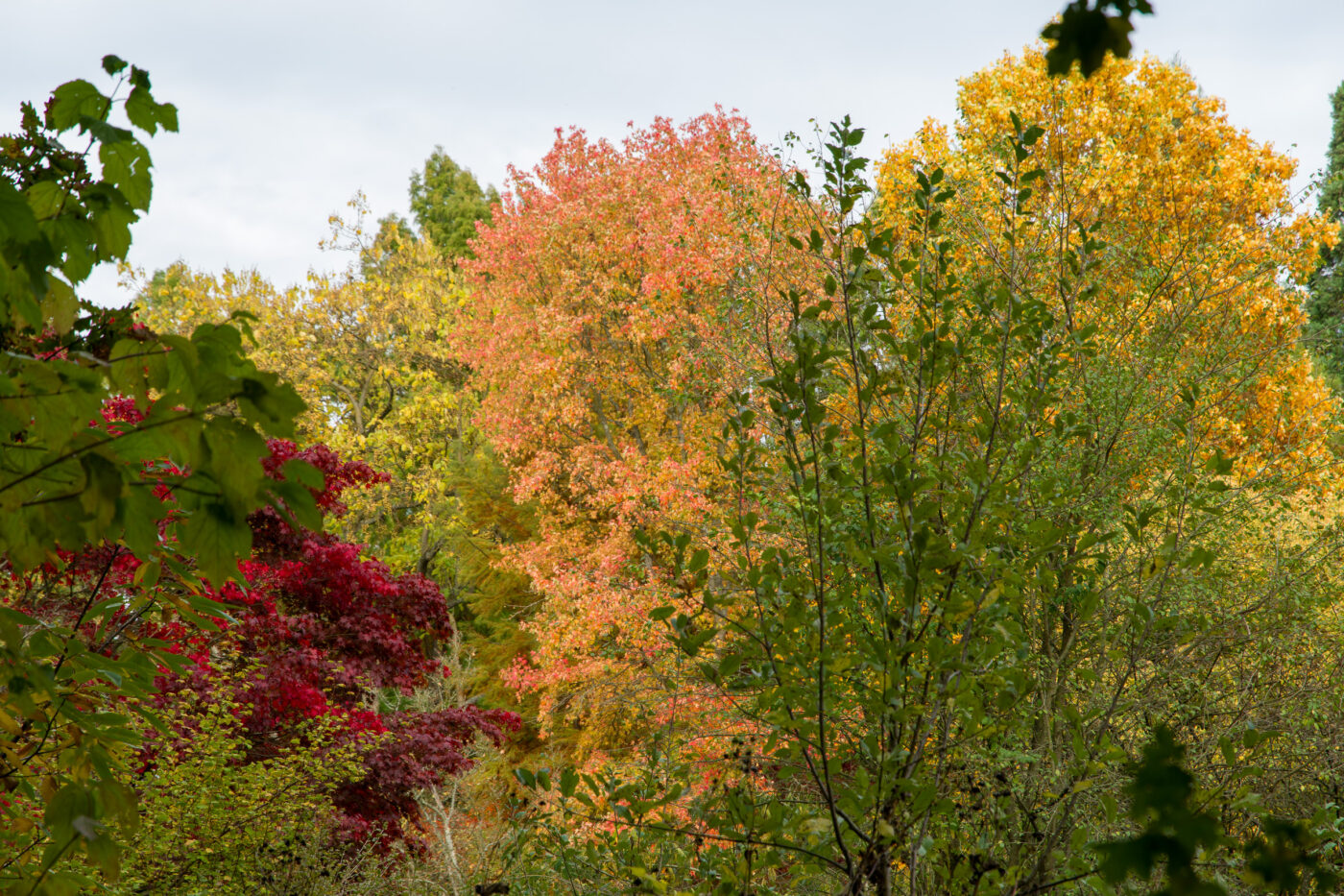 2025-10-19 - RUB - Botanischer Garten