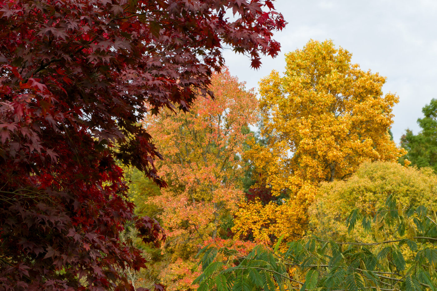 2025-10-19 - RUB - Botanischer Garten