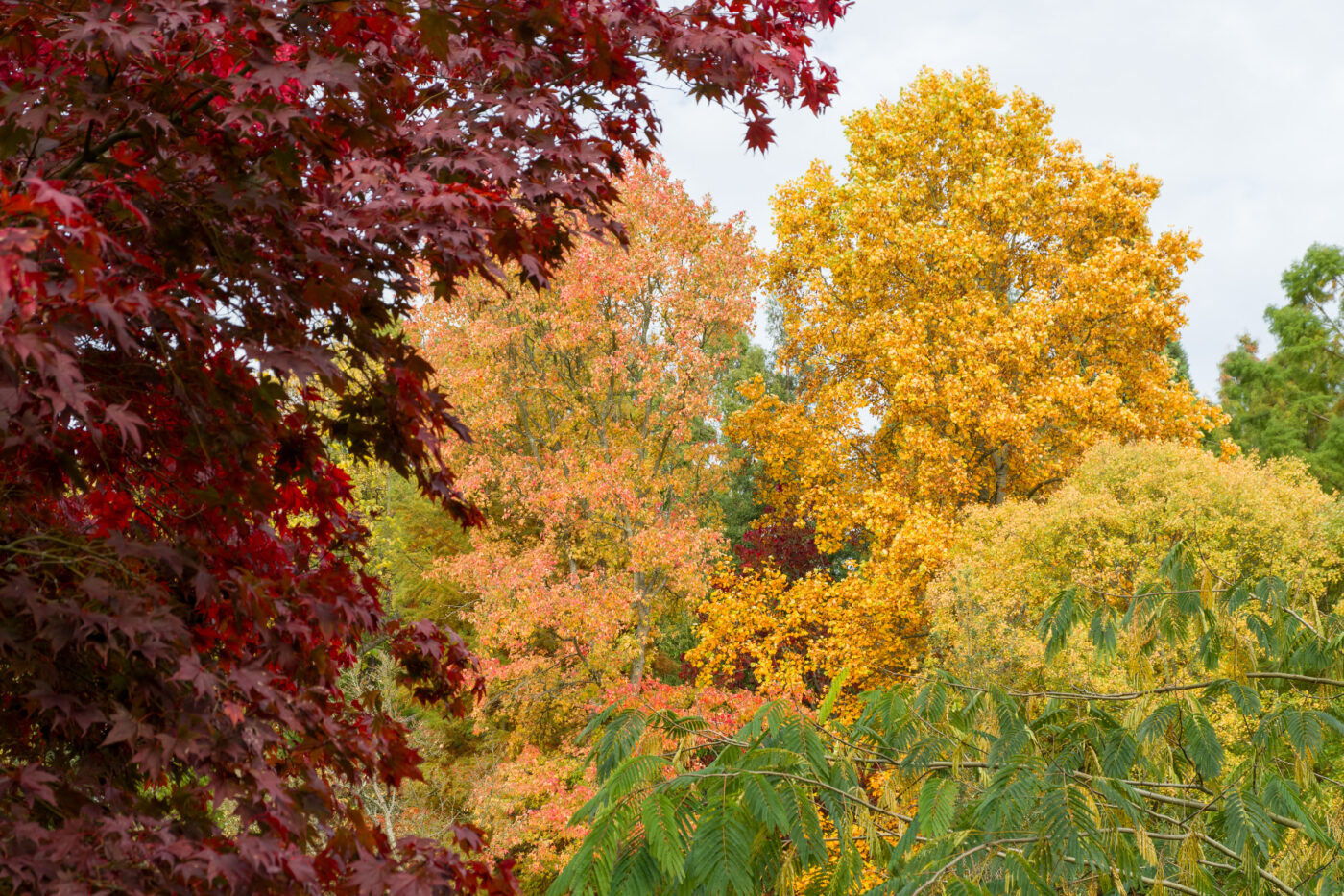 2025-10-19 - RUB - Botanischer Garten