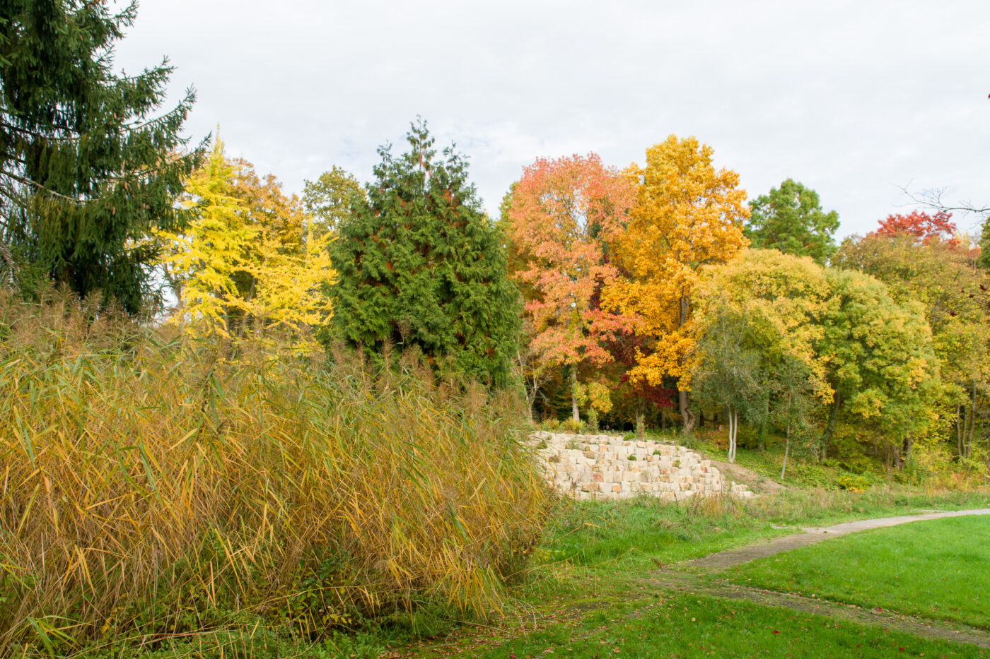 2025-10-19 - RUB - Botanischer Garten