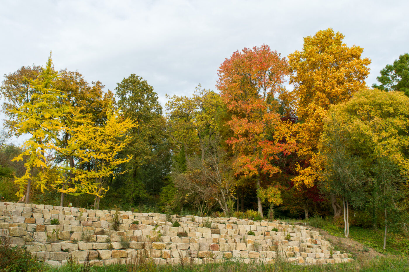 2025-10-19 - RUB - Botanischer Garten