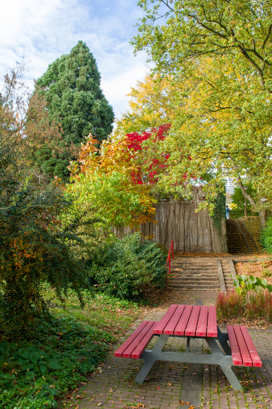 2025-10-19 - RUB - Botanischer Garten