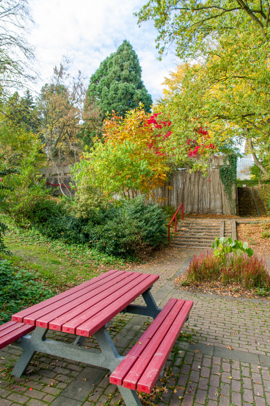 2025-10-19 - RUB - Botanischer Garten