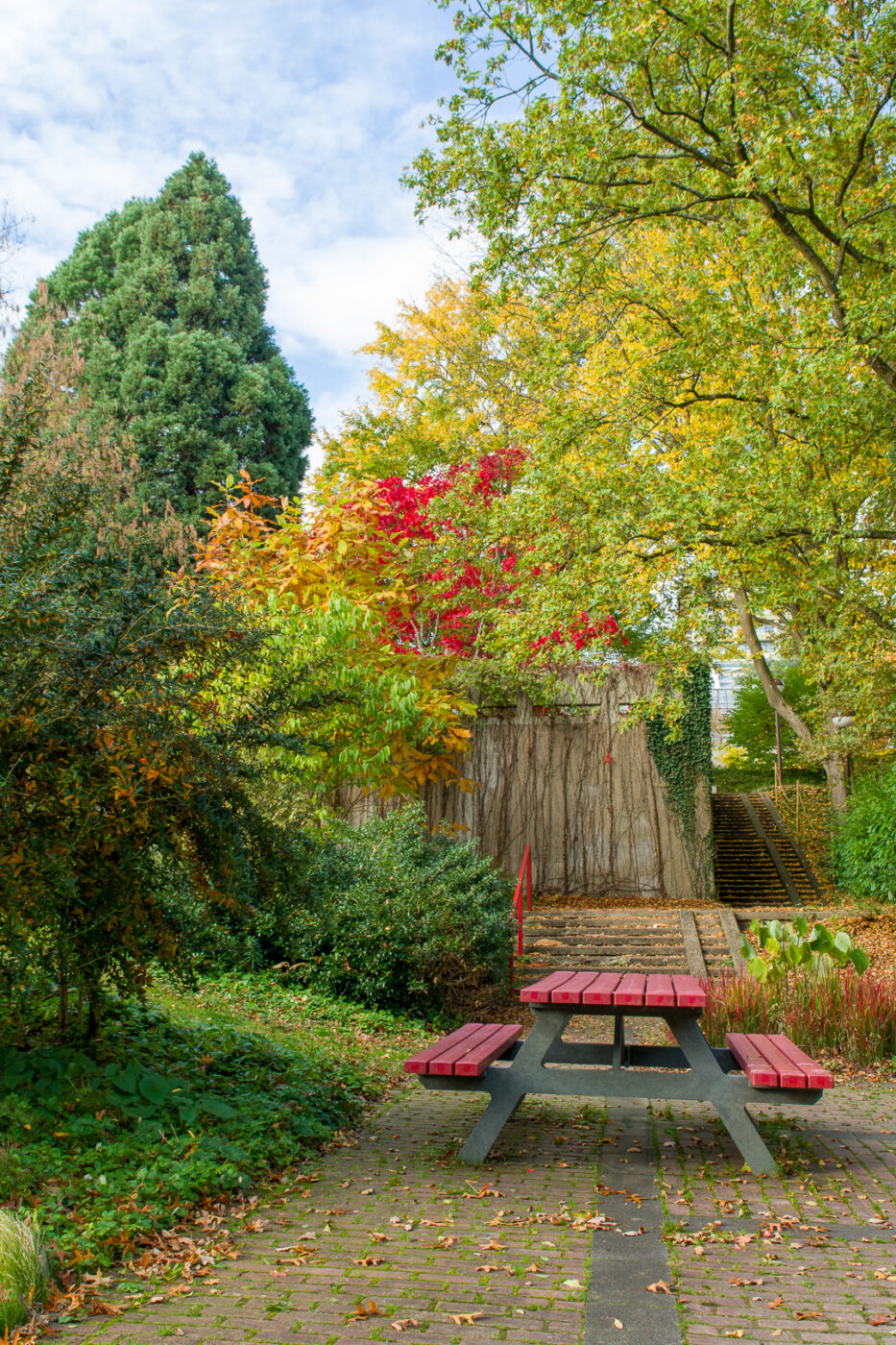 2025-10-19 - RUB - Botanischer Garten