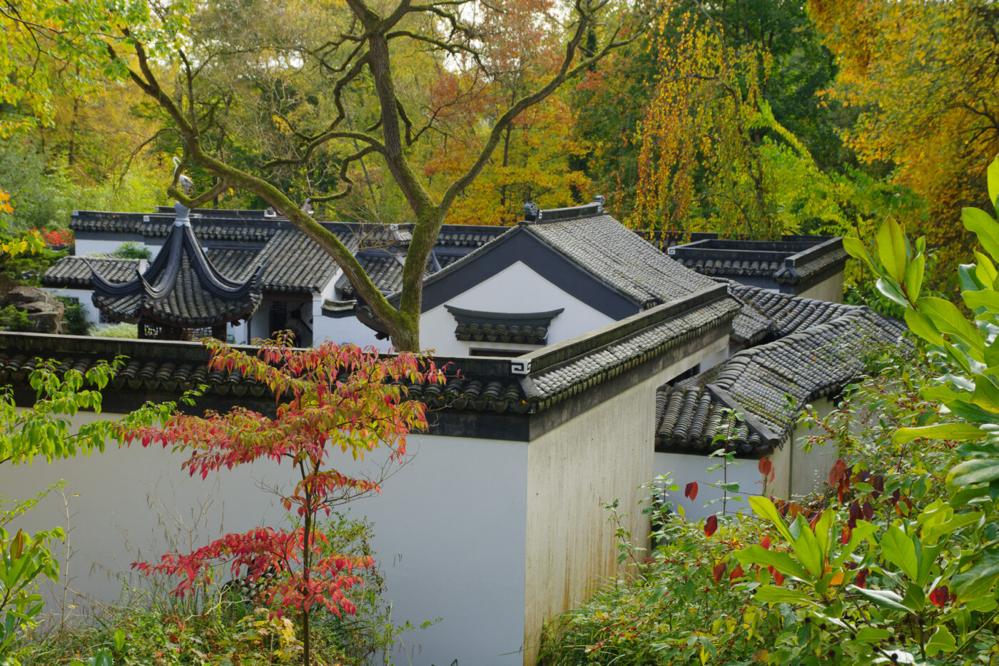 2025-10-19 - RUB - Botanischer Garten