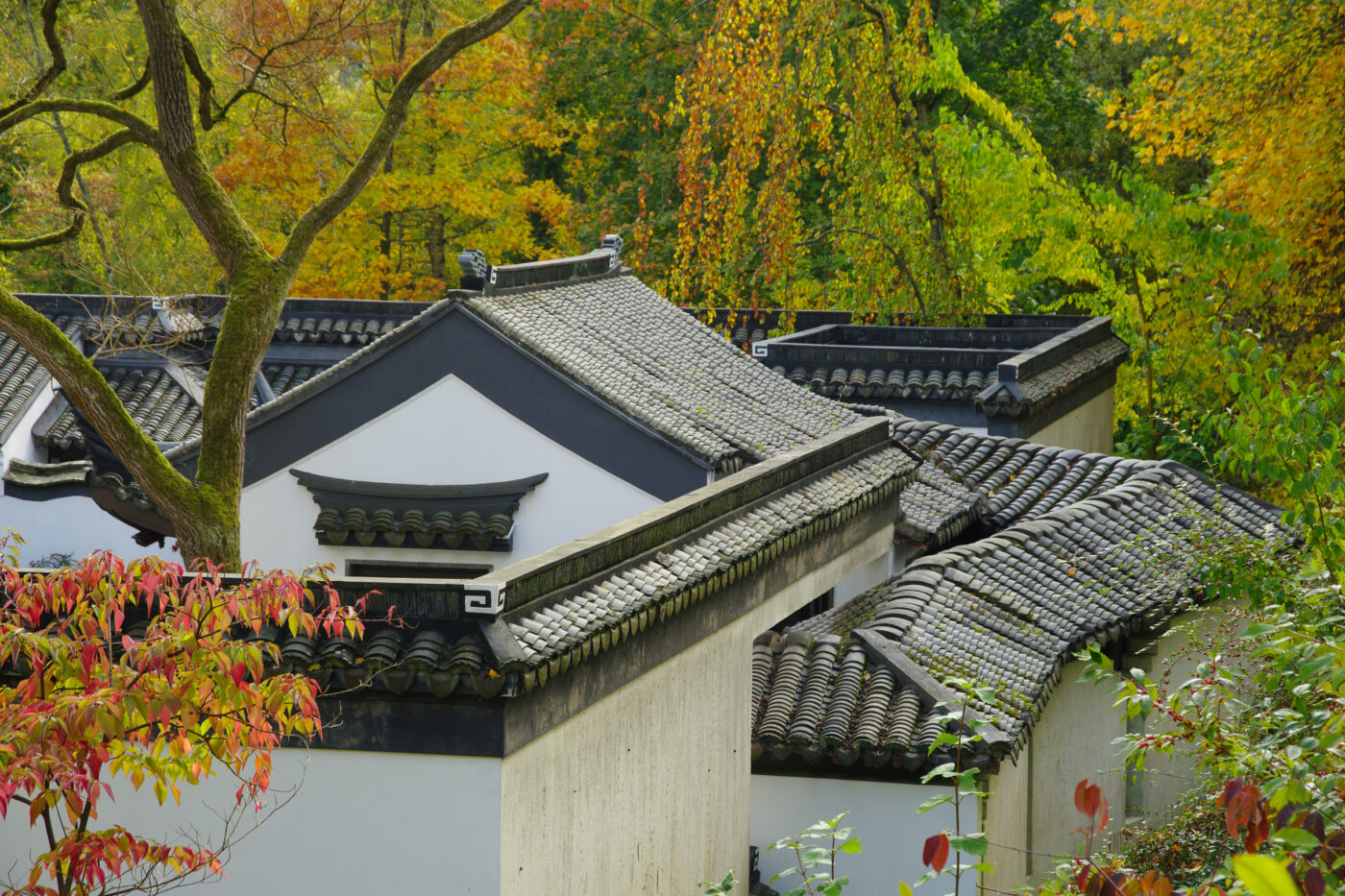 2025-10-19 - RUB - Botanischer Garten