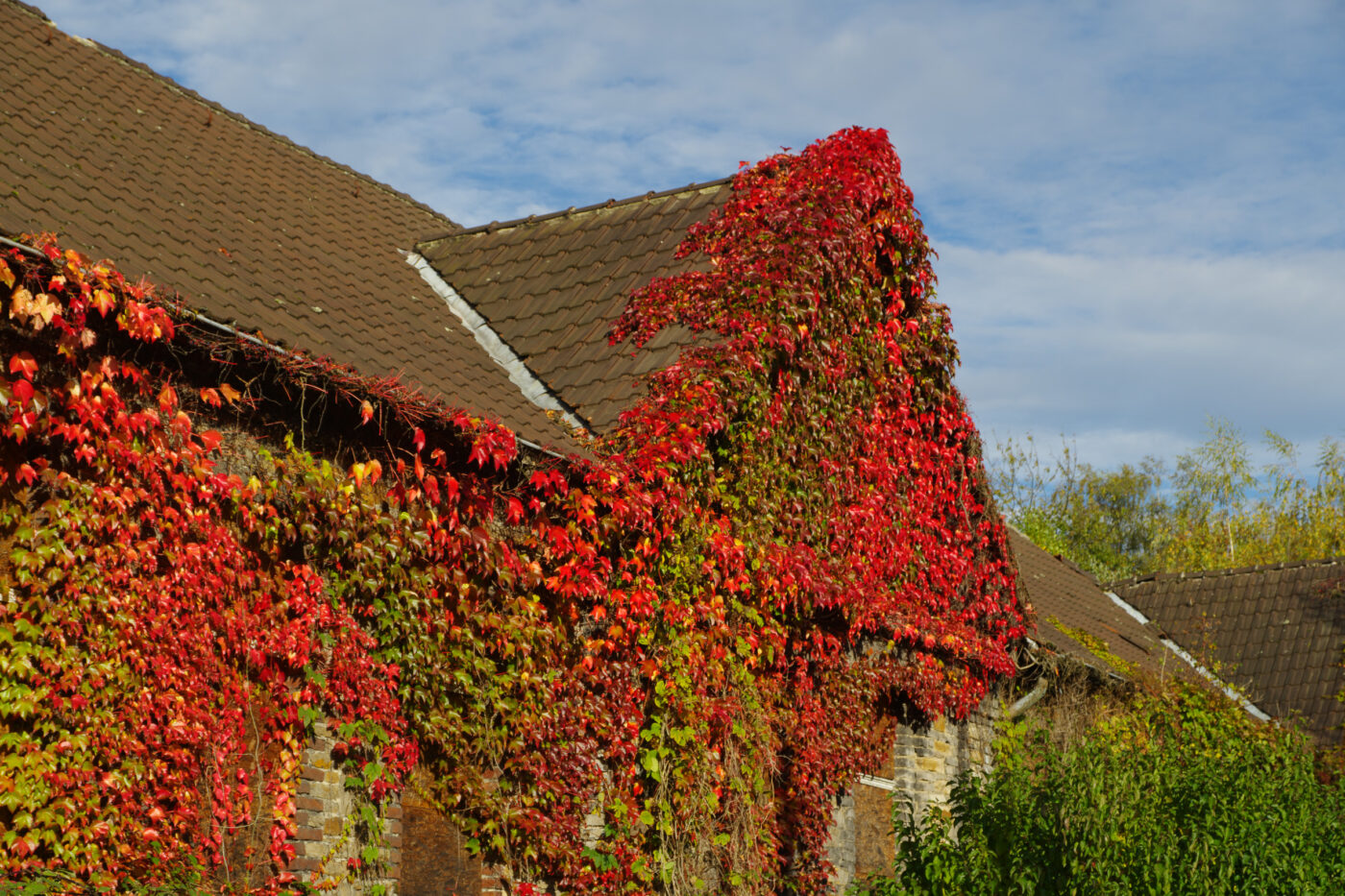 2025-10-19 - RUB - Botanischer Garten