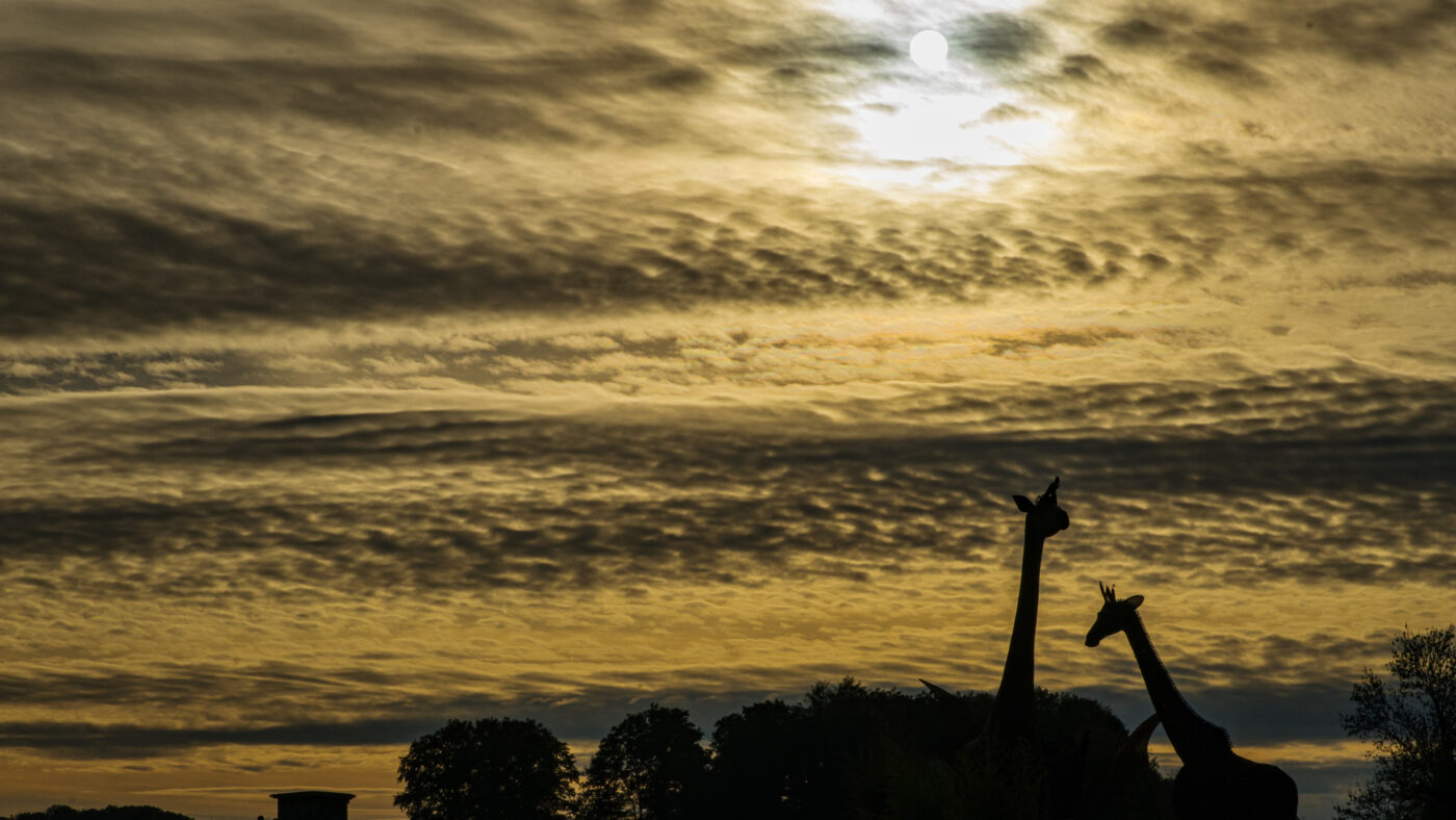 2025-10-19 - Witten - Schloß Steinhausen