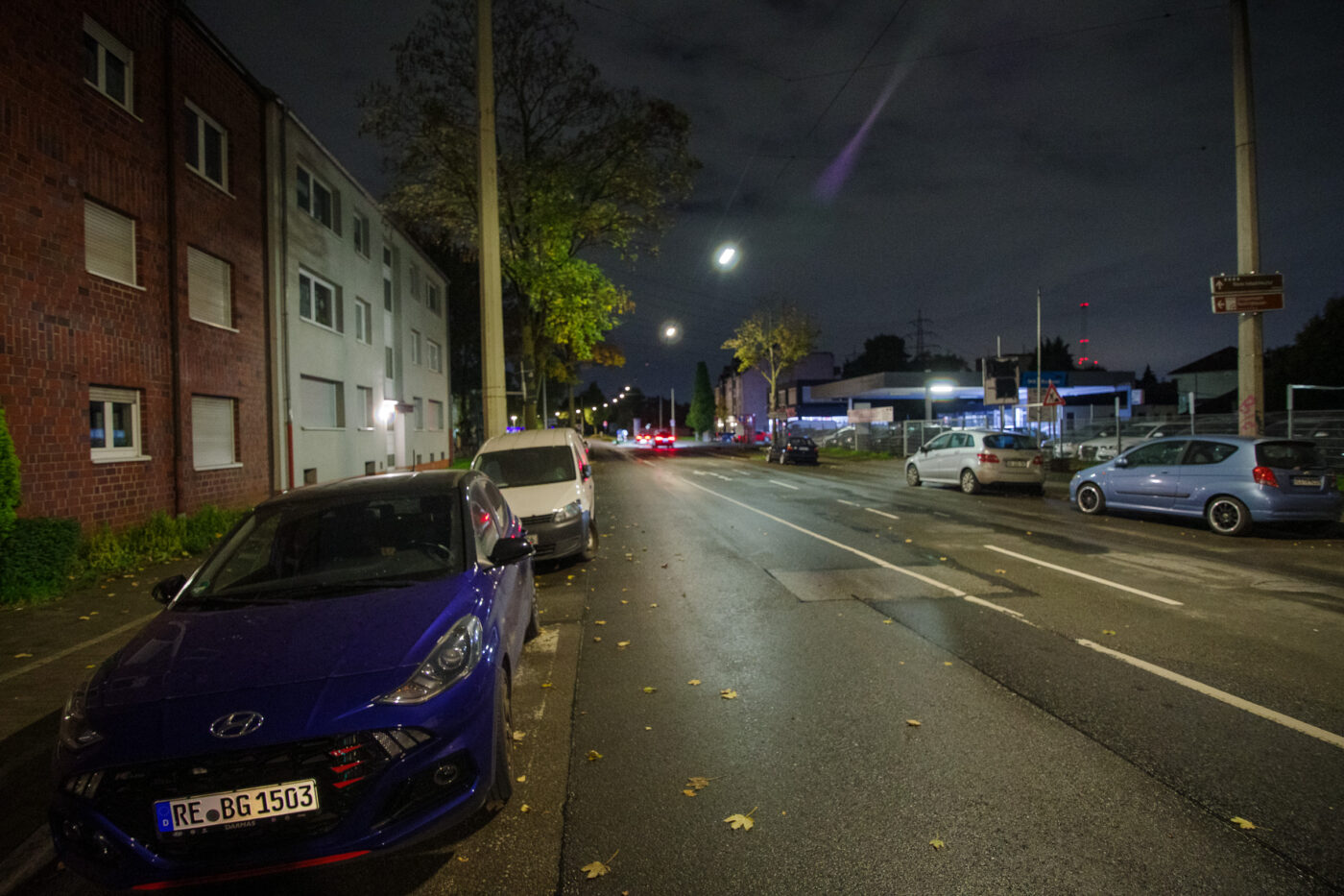 2025-10-20 - NSG Hafen Herten