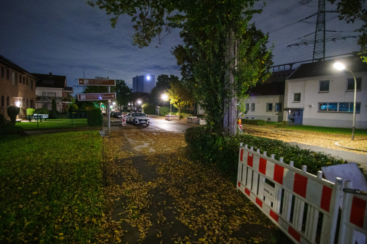 2025-10-20 - NSG Hafen Herten