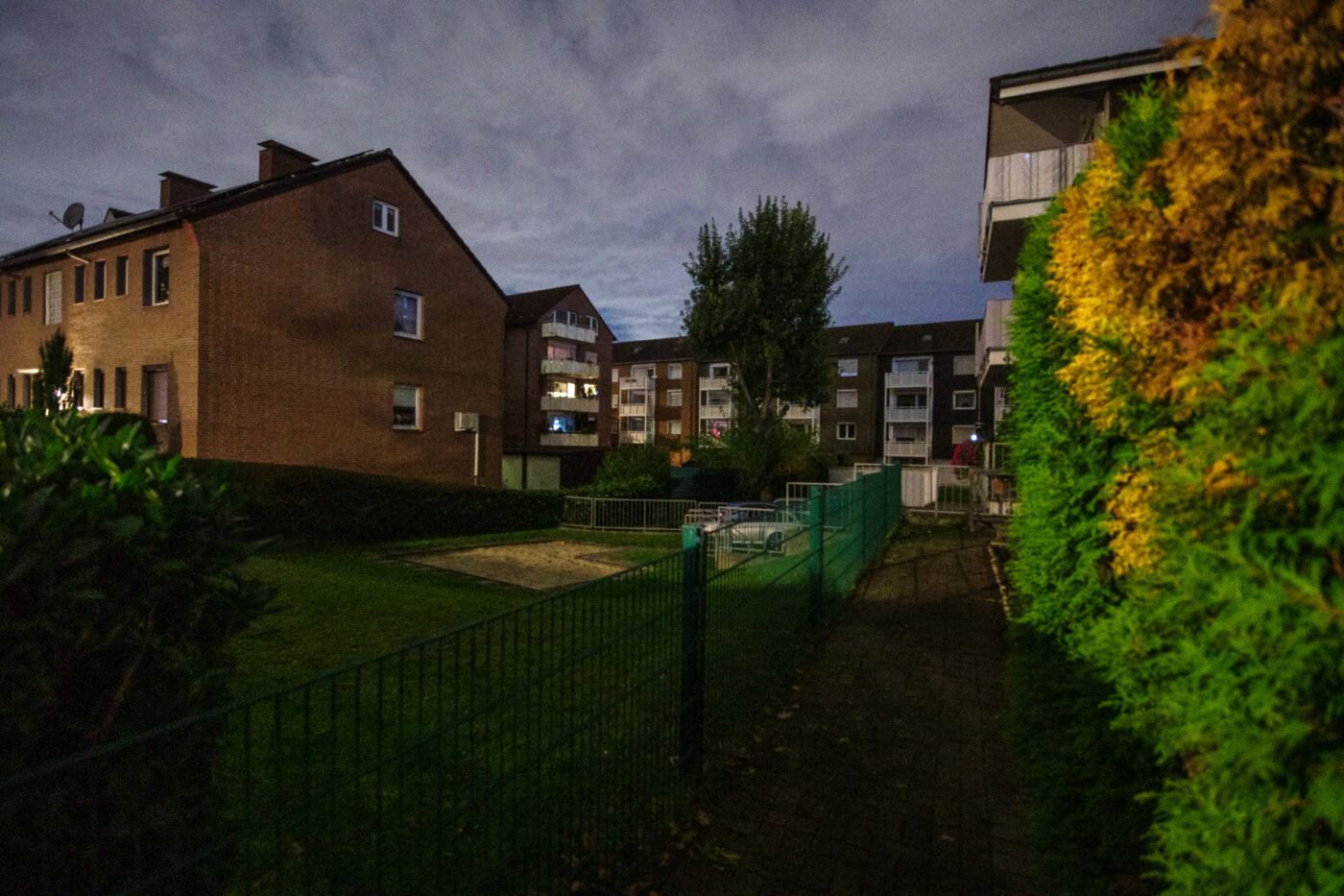 2025-10-20 - NSG Hafen Herten