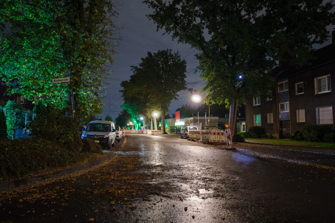 2025-10-20 - NSG Hafen Herten