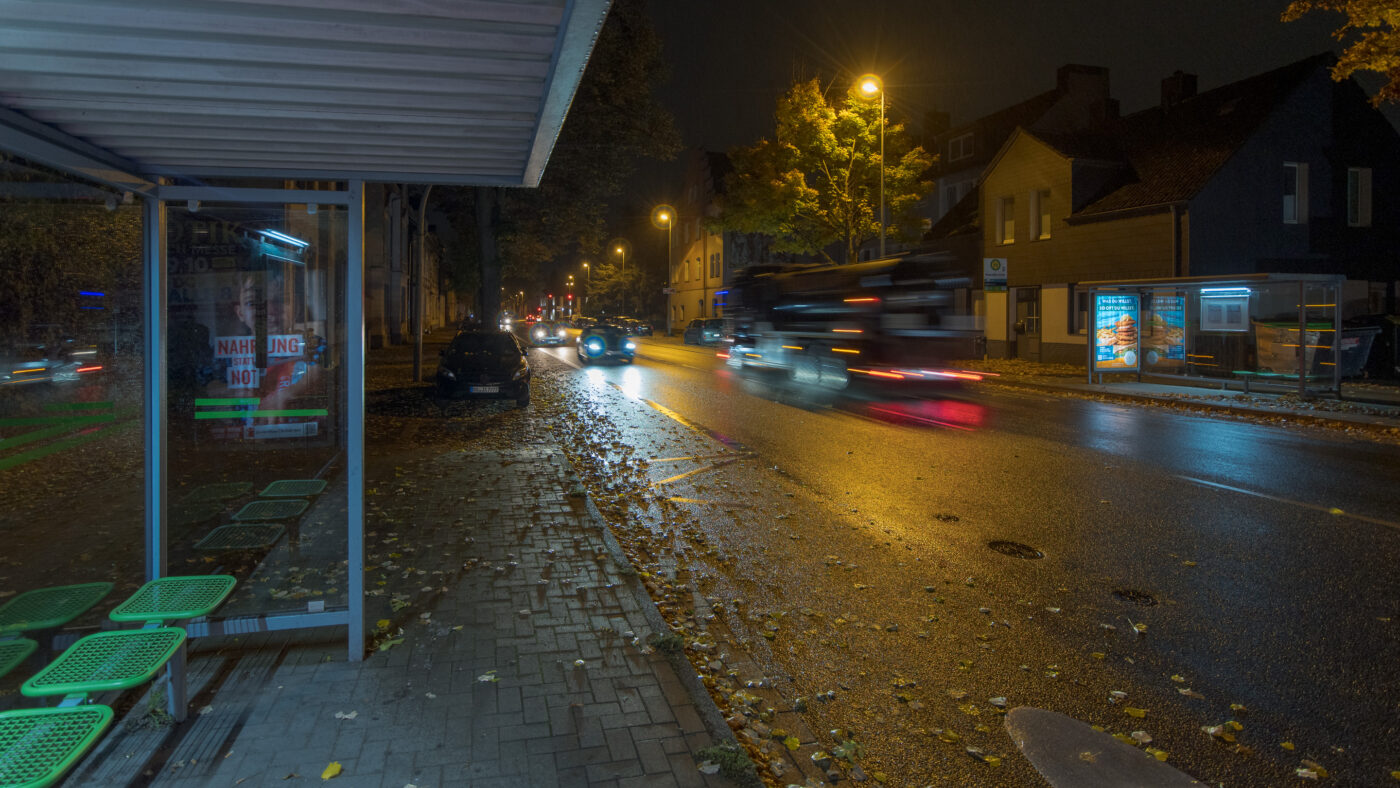 2025-10-20 - NSG Hafen Herten