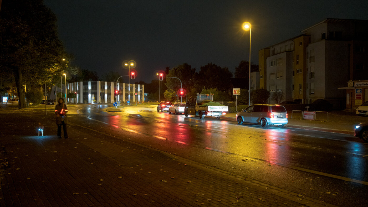 2025-10-20 - NSG Hafen Herten