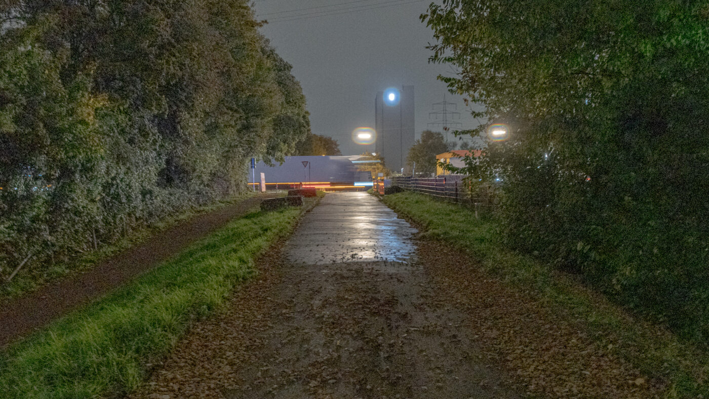 2025-10-20 - NSG Hafen Herten