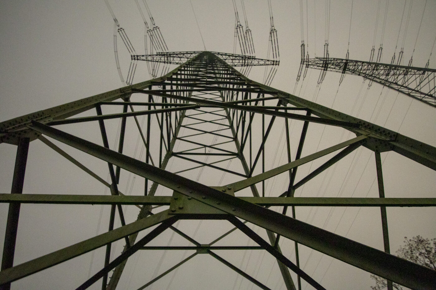 2025-10-20 - NSG Hafen Herten