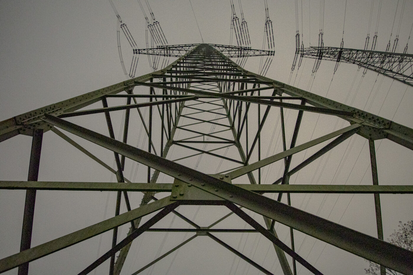 2025-10-20 - NSG Hafen Herten