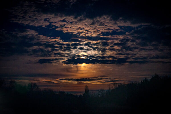 2025-11-06 - O-E - Ewaldstraße 19